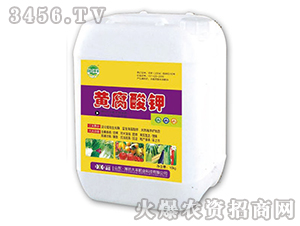 �S�����-��@���S-���S�ʘI(y��)