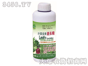 �~�˶�S���L��-��@���S-���S�ʘI(y��)