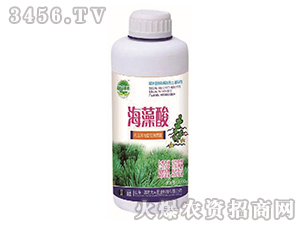 �����ᣨƿ��-��@���S-���S�ʘI(y��)