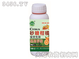 ɰ�Ǹ��ٴ�ѿ���h-��@���S-���S�ʘI(y��)