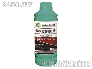 ���������t��-��@���S-���S�ʘI(y��)