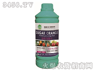 ����������-��@���S-���S�ʘI(y��)