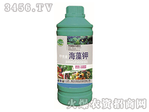 �ך��غ���⛣�ƿ��-��@���S-���S�ʘI(y��)