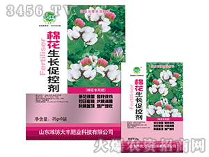 �޻����L�ٿ؄�-��@���S-���S�ʘI(y��)