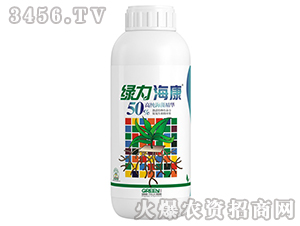 �G������-50%�߼����徫�A-����