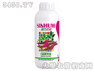 �G����(y��u)��-����