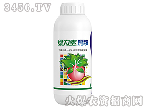 �G�����}�V-����