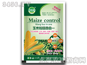 ���׿����ĺ�һ-��@���S-���S�ʘI(y��)