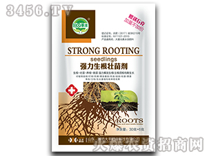 �����������焩-��@���S-���S�ʘI(y��)