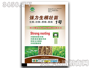 ��(qi��ng)����������1̖(h��o)-��@���S-���S�ʘI(y��)