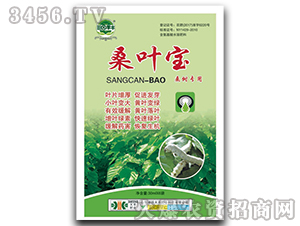 ɣ�~��-��@���S-���S�ʘI(y��)