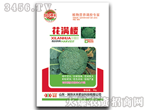 ���M��-��@���S-���S�ʘI(y��)