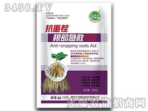 ���ز��������120-��@���S-���S�ʘI(y��)