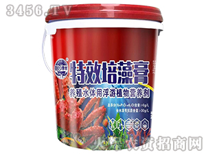 ​��Ч�����-��@���S-���S�ʘI(y��)