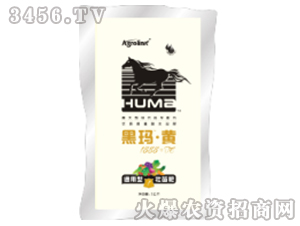 壯苗肥腐植酸水溶肥料-黑瑪·黃1888+TE-豐聯(lián)農(nóng)業(yè)