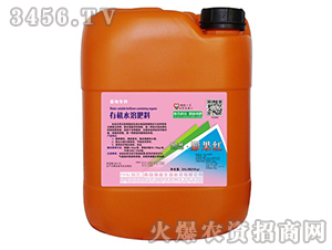 ����t-�������