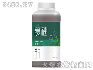 葉肥-農(nóng)神1號(hào)-新峰生物