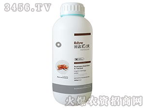 �����Ϳ����-���_�|��14̖-���_�ʘI(y��)