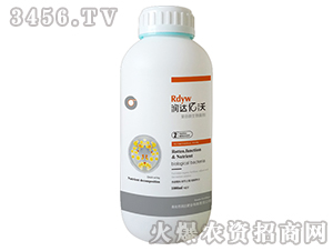 ��(f��)��΢�������-��(r��n)�_(d��)�|��2̖(h��o)-��(r��n)�_(d��)�ʘI(y��)