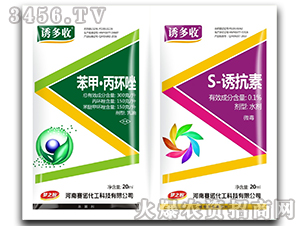 ���ס����h(hu��n)��+S-�T����-�T����-ِ�Z����