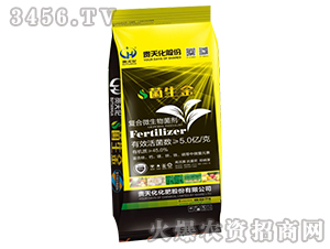 �ͺ�΢�������-������5�|/�ˣ�-�F�컯