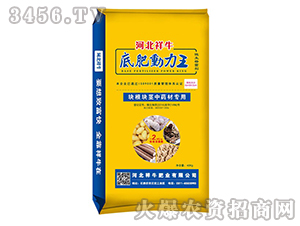 �K���K�o��ˎ�Č�(zhu��n)�÷�-�׷ʄ�(d��ng)����-��ţ�ʘI(y��)