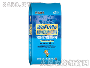 5�|΢�������-������(y��u)��(y��u)-��ţ�ʘI(y��)