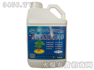 ������ܸ�ؐ��-�����S