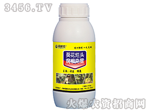 �������^��������-�Z����