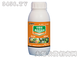 �̳���-���������-�Z����