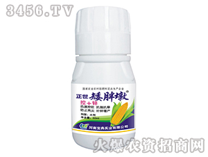 ���׿�����-���ֶ�-���䌍�I(y��) 