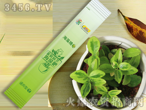 ���徫-��������