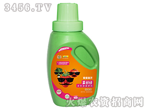 �ˉщ�-��������