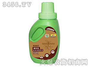 ���щ�-��������