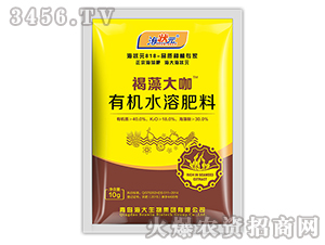 10g�����-����Ԫ-��������