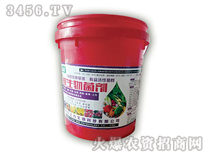 ΢�������-��������