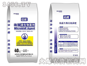 ����΢�������-о��-��������