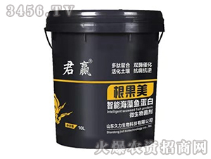 ���ܺ����~����΢�������-������-��������