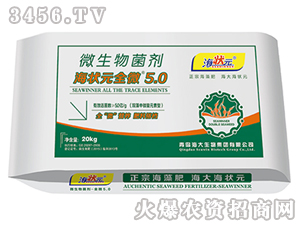 ����Ԫȫ΢5.0-����Ԫ-��������