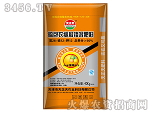 ��ጷ�26-12-12-����¾�ጓ������-������