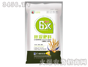 ����6XС�����÷�-�������-������