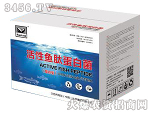 ���ϻ����~�ĵ��׾�-������(gu��)�H