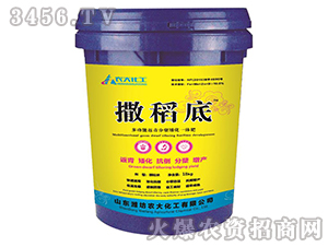 �๦�ܷ�����Y����һ�w��-������-�r(n��ng)�󻯹�