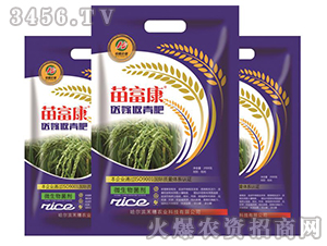 送嫁返青肥-苗富康-農(nóng)大化工