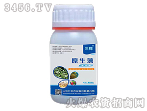 ԭ����-����-���S�r�I(y��)