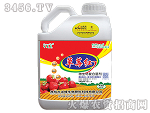 ��ݮ�t-��������