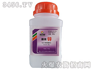 �߼��\-�嵤�