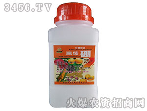 �߼���-�嵤�