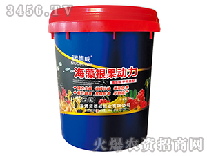 ���������(d��ng)��-�Z����