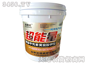 ����ך����S�������-������-�Z����